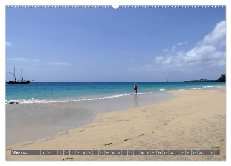Fuerteventura - Heimat des Windes (CALVENDO Wandkalender 2024)