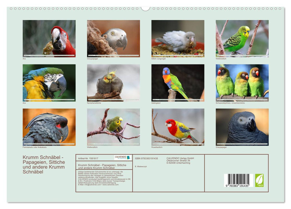 Krumm Schnäbel - Papageien, Sittiche und andere Krumm Schnäbel (CALVENDO Premium Wandkalender 2024)