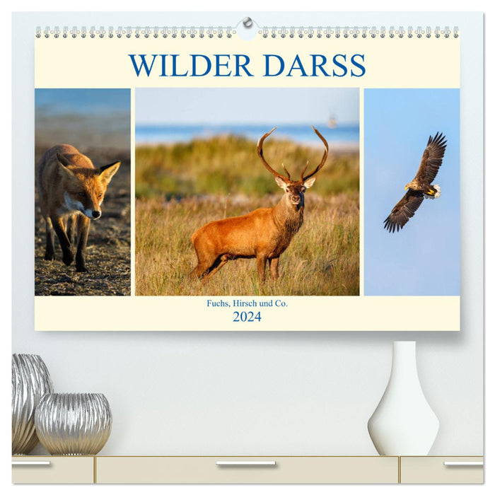 Wilder Darß - Fuchs, Hirsch und Co. 2024 (CALVENDO Premium Wandkalender 2024)