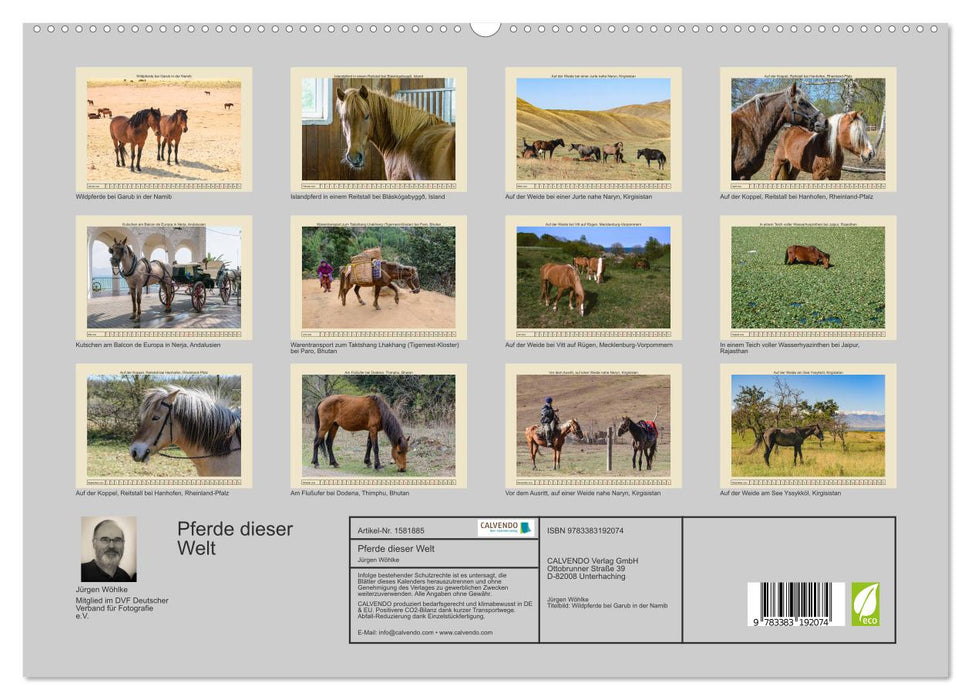 Pferde dieser Welt (CALVENDO Premium Wandkalender 2024)