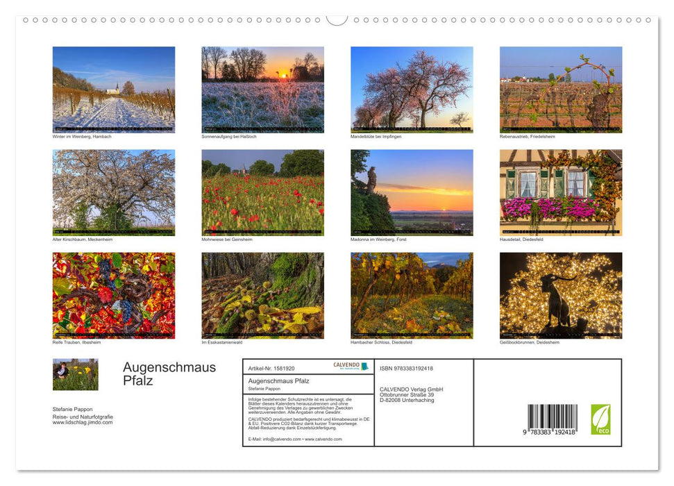 Augenschmaus Pfalz (CALVENDO Premium Wandkalender 2024)