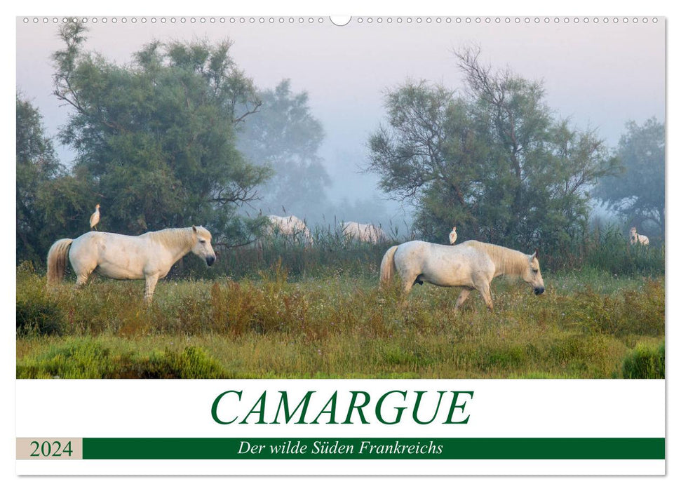Camargue - Le sud sauvage de la France (Calendrier mural CALVENDO 2024) 