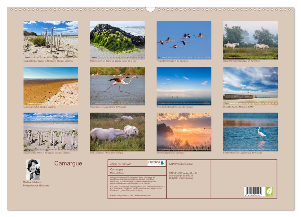 Camargue - Le sud sauvage de la France (Calendrier mural CALVENDO 2024) 