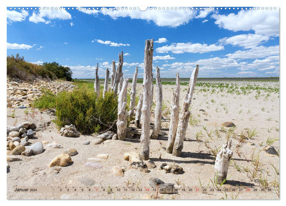 Camargue - Le sud sauvage de la France (Calendrier mural CALVENDO 2024) 