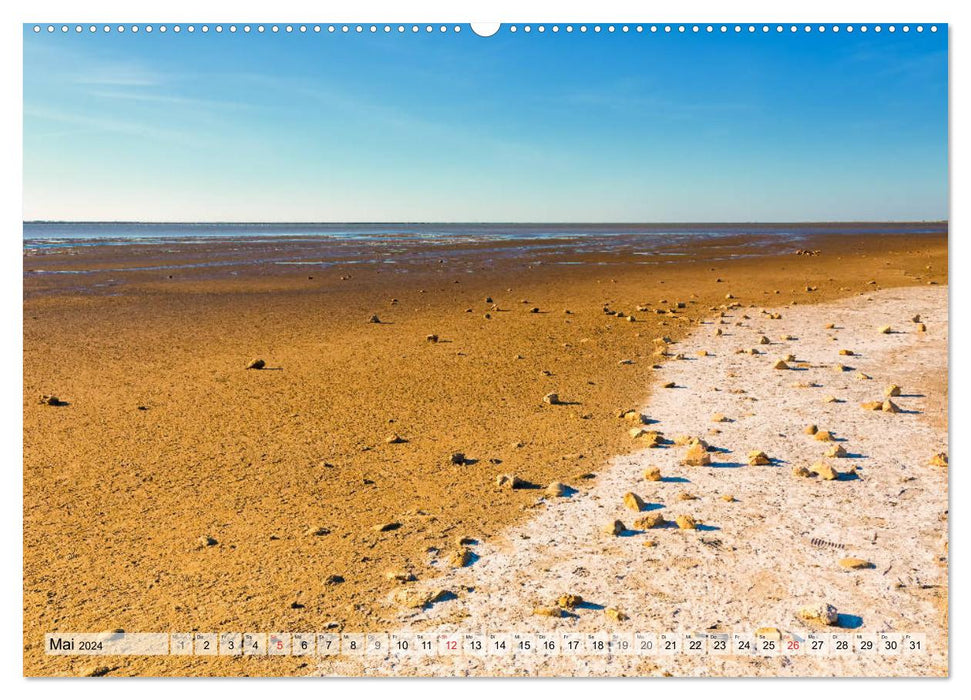 Camargue - Le sud sauvage de la France (Calendrier mural CALVENDO 2024) 