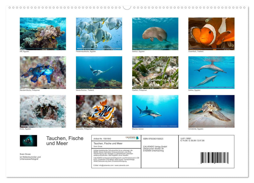 Tauchen, Fische und Meer (CALVENDO Premium Wandkalender 2024)