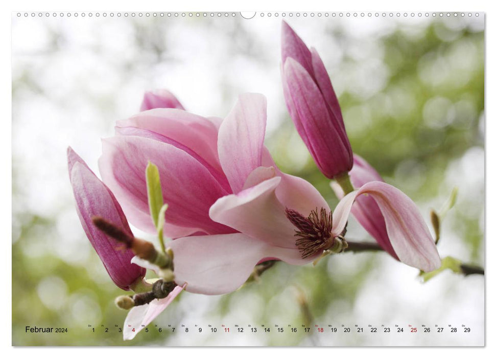 Verträumte Natur (CALVENDO Premium Wandkalender 2024)