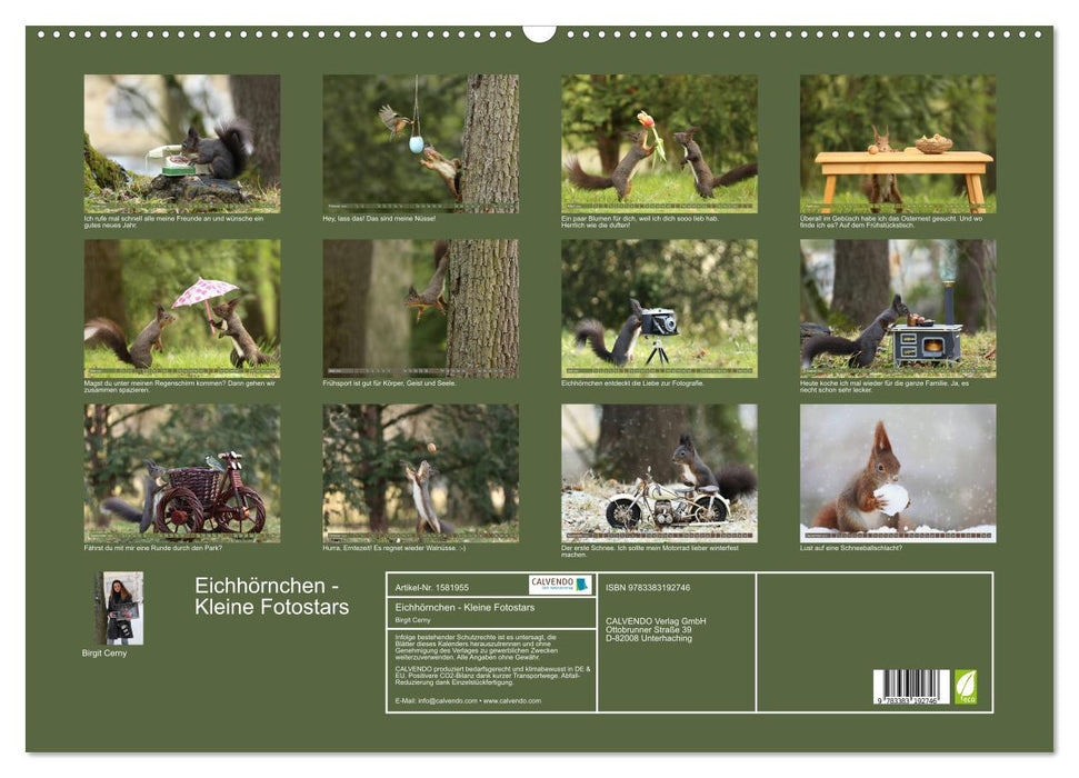 Eichhörnchen - Kleine Fotostars (CALVENDO Wandkalender 2024)