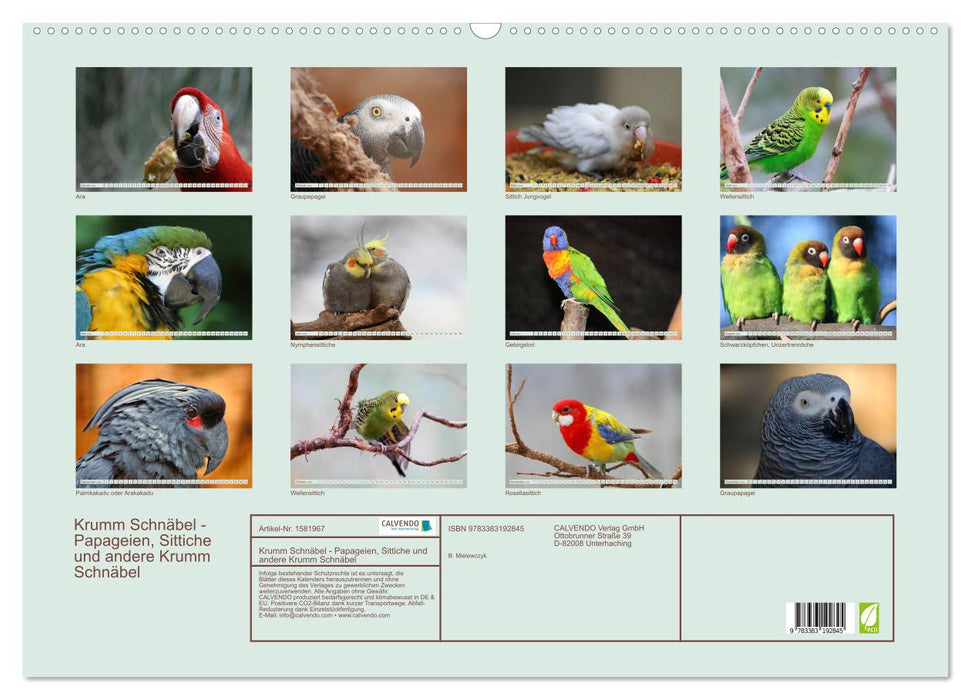 Krumm Schnäbel - Papageien, Sittiche und andere Krumm Schnäbel (CALVENDO Wandkalender 2024)
