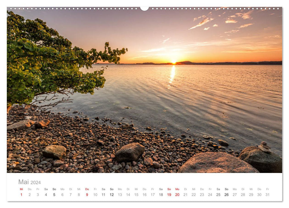 Rügen ein Sommertraum (CALVENDO Premium Wandkalender 2024)