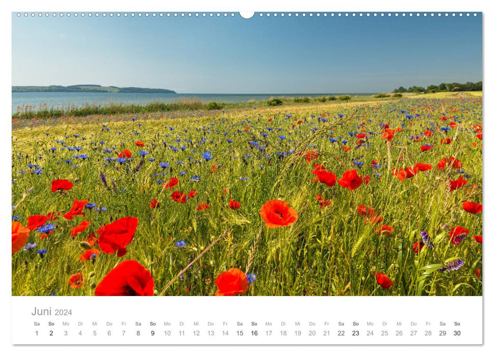 Rügen ein Sommertraum (CALVENDO Premium Wandkalender 2024)