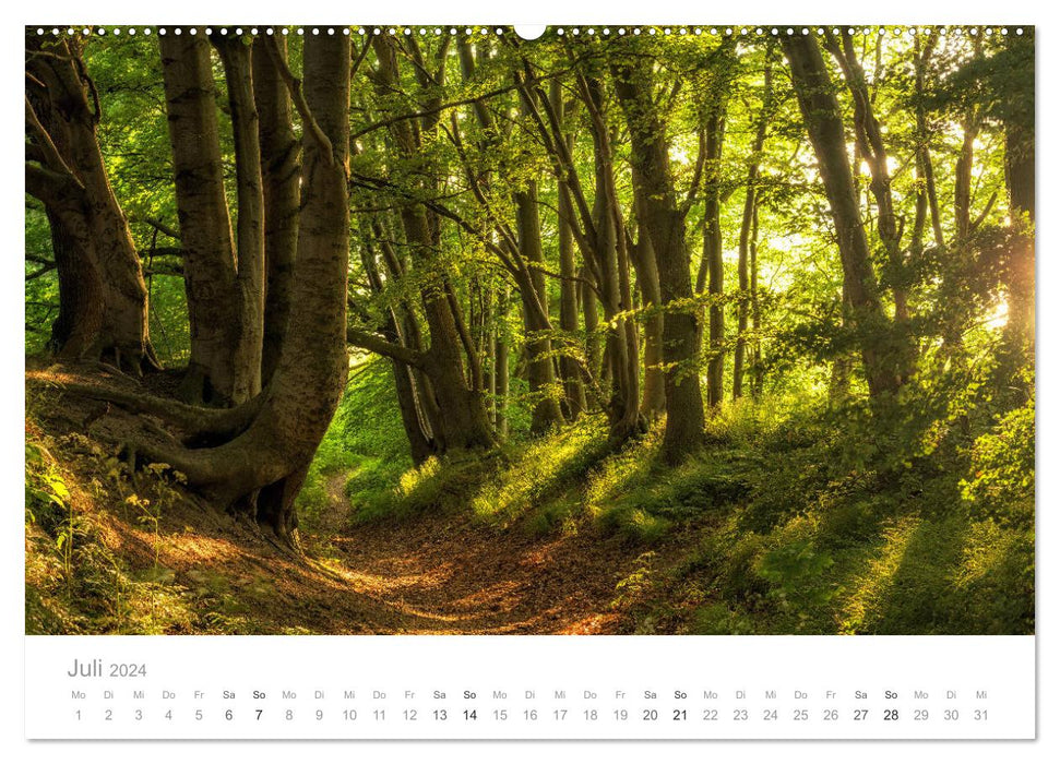 Rügen ein Sommertraum (CALVENDO Premium Wandkalender 2024)