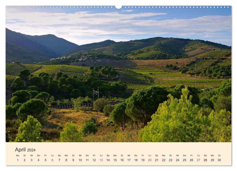 Côte Vermeille - Là où les Pyrénées embrassent la mer (Calendrier mural CALVENDO 2024) 