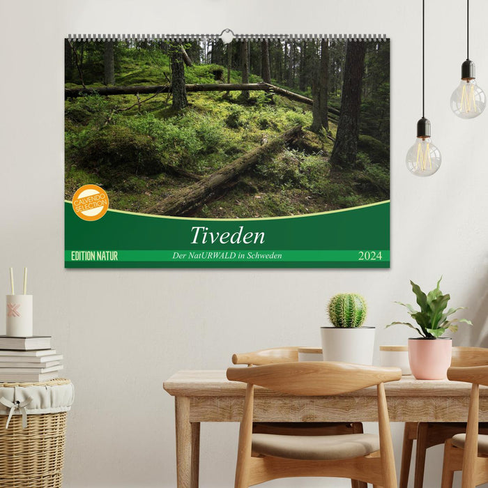 Tiveden, der NatURWALD in Schweden (CALVENDO Wandkalender 2024)