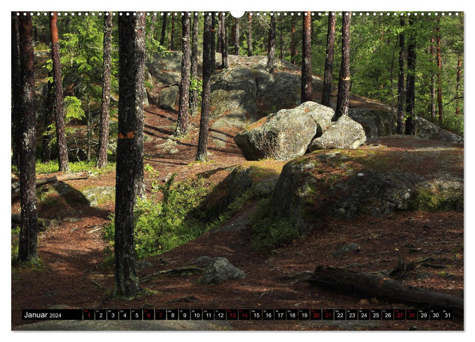 Tiveden, the natural FOREST in Sweden (CALVENDO wall calendar 2024) 