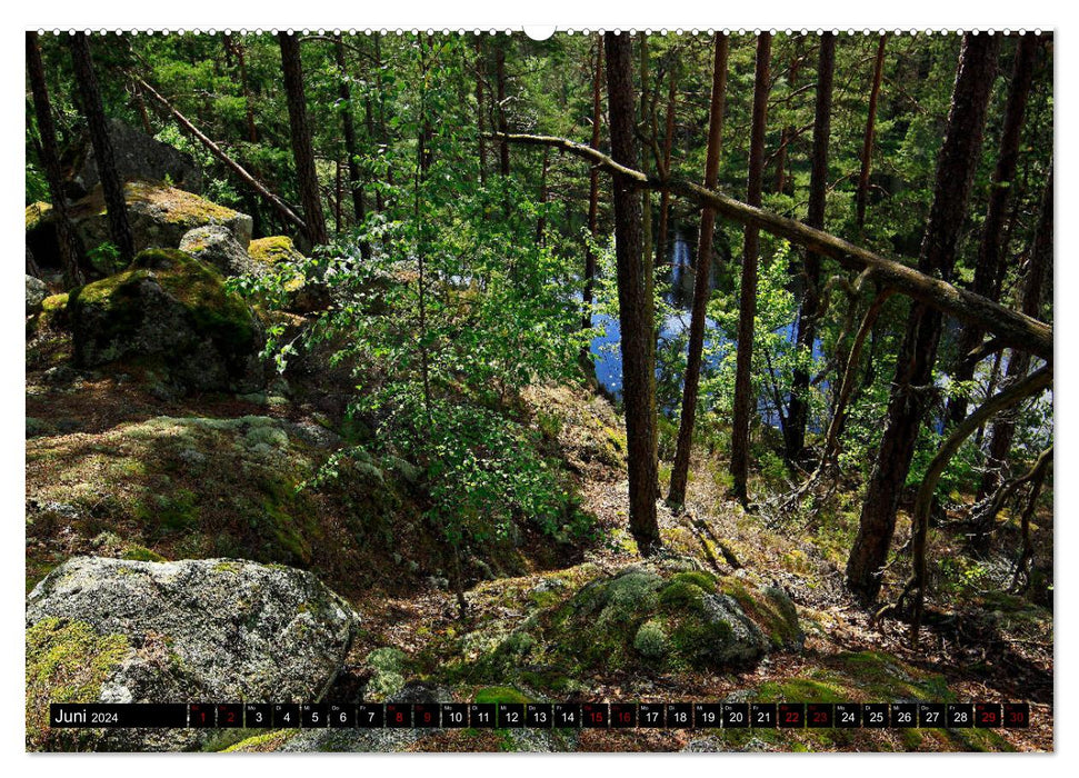 Tiveden, the natural FOREST in Sweden (CALVENDO wall calendar 2024) 