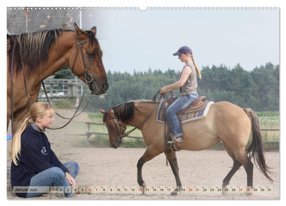 Quarter Horses - Die größte Zuchtbuchrasse der Welt (CALVENDO Premium Wandkalender 2024)