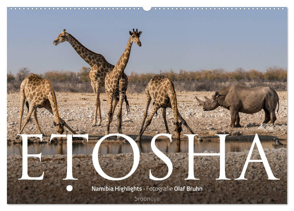 ETOSHA – Namibia Highlights (CALVENDO Wandkalender 2024)