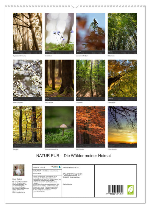 NATUR PUR - Die Wälder meiner Heimat (CALVENDO Premium Wandkalender 2024)