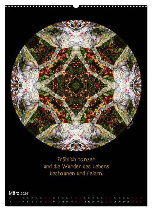 Nature Mandalas - Every period reveals its quality (CALVENDO Premium Wall Calendar 2024) 