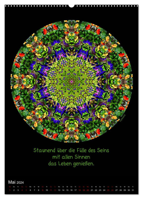 Nature Mandalas - Every period reveals its quality (CALVENDO Premium Wall Calendar 2024) 