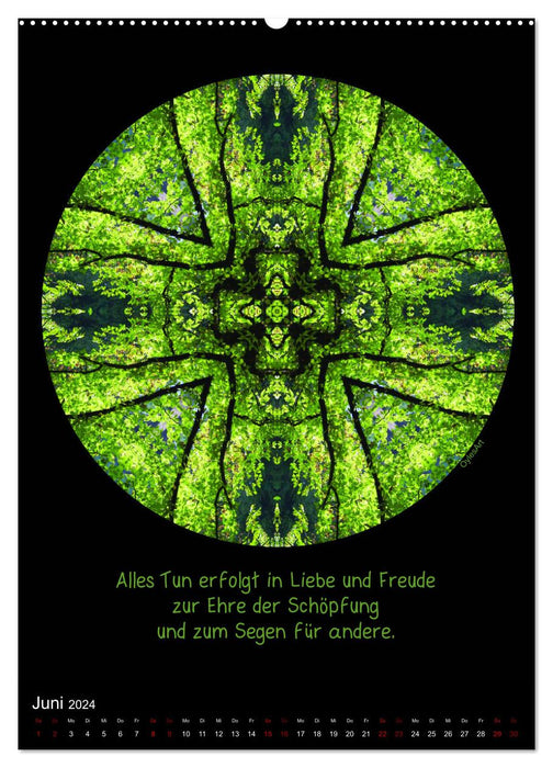 NaturMandalas - Jeder Zeitraum offenbart seine Qualität (CALVENDO Premium Wandkalender 2024)