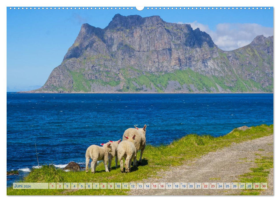 Les Lofoten - Un voyage en images (Calvendo Premium Wall Calendar 2024) 