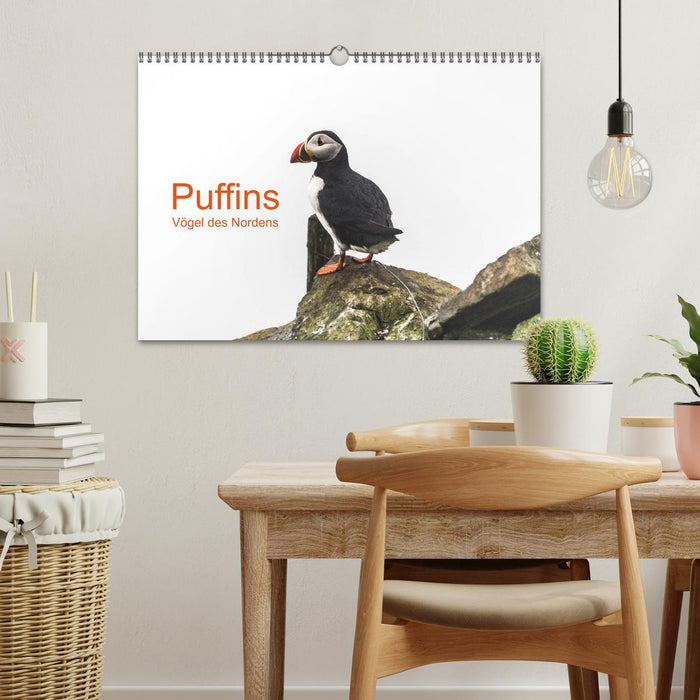 Puffins - Vögel des Nordens (CALVENDO Wandkalender 2024)