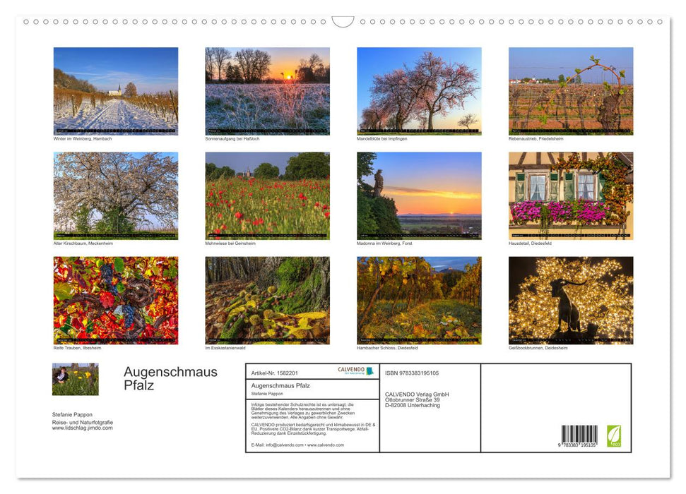 Eye feast Palatinate (CALVENDO wall calendar 2024) 