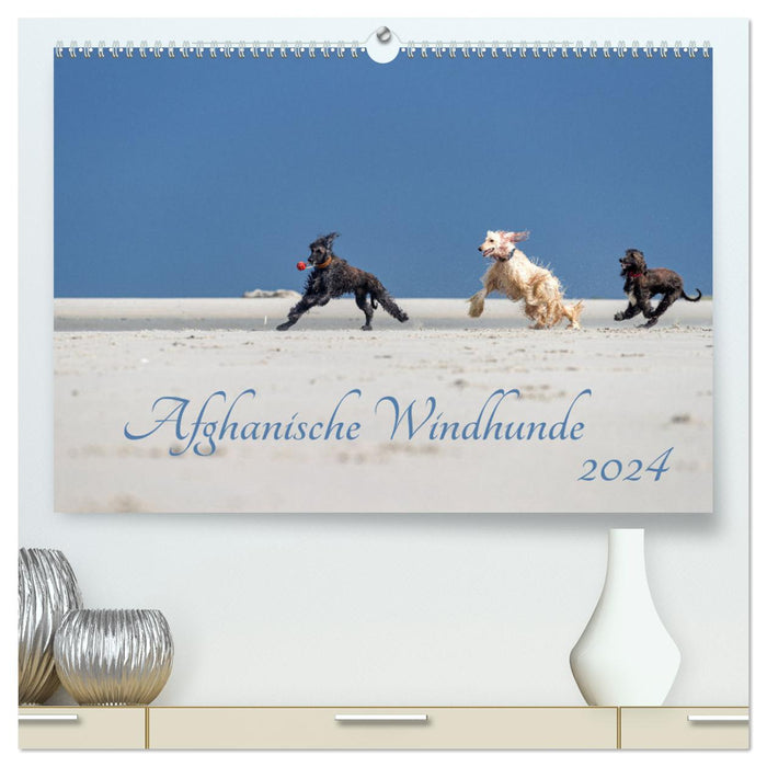 AFGHAN GREYHOUNDS 2024 (CALVENDO Premium Wall Calendar 2024) 