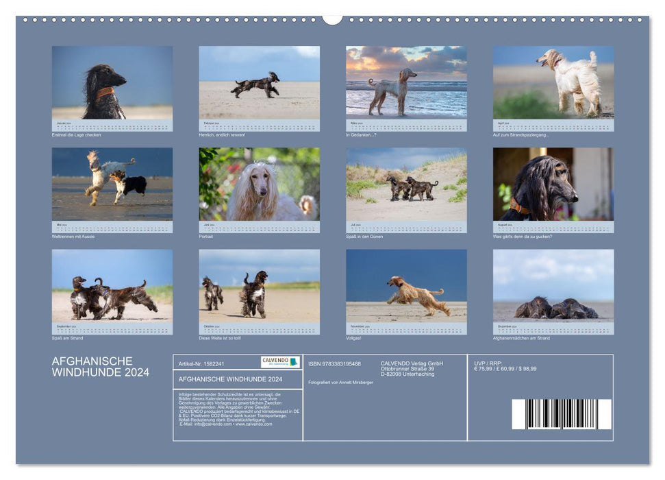 AFGHANISCHE WINDHUNDE 2024 (CALVENDO Premium Wandkalender 2024)