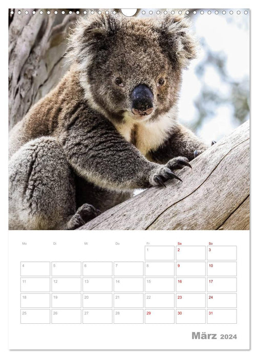 g'day Australien 2024 (CALVENDO Wandkalender 2024)