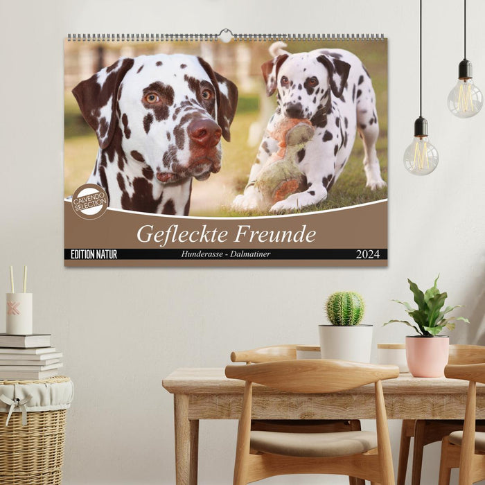 Gefleckte Freunde - Hunderasse Dalmatiner (CALVENDO Wandkalender 2024)