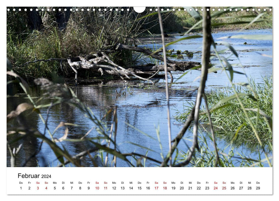 Parc naturel de la basse vallée de l'Oder (calendrier mural CALVENDO 2024) 