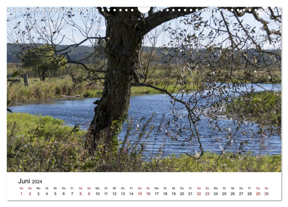 Parc naturel de la basse vallée de l'Oder (calendrier mural CALVENDO 2024) 