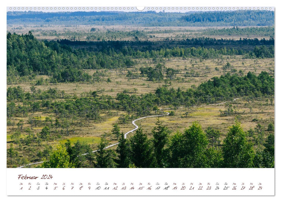 La beauté brute de la Finlande (Calvendo Premium Wall Calendar 2024) 