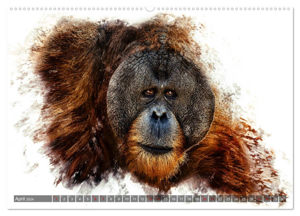 Animal Portraits - Fine Art (CALVENDO Premium Wall Calendar 2024) 