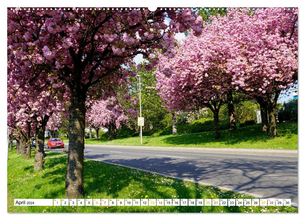 Buchen im Odenwald (CALVENDO Wandkalender 2024)