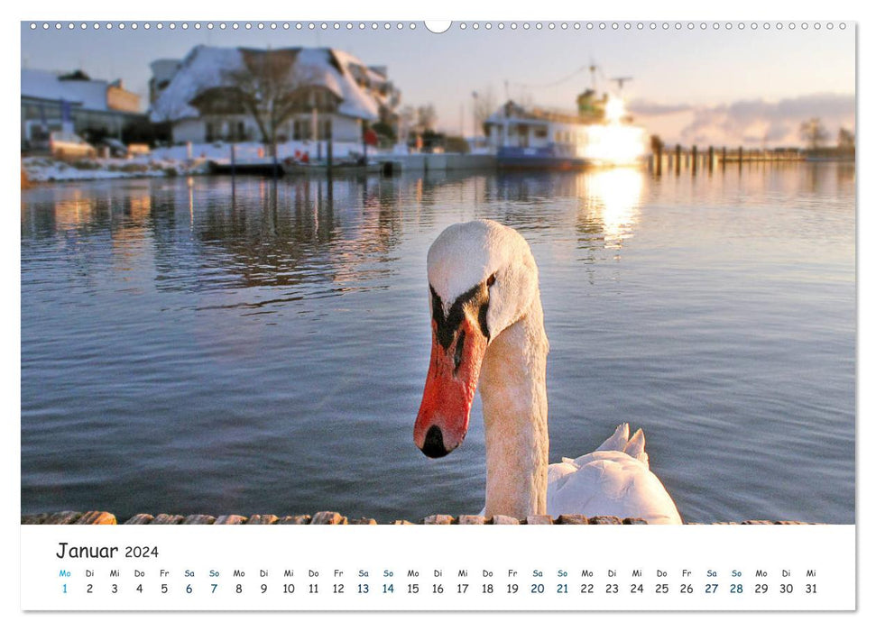 Southeast Rügen 2024 (CALVENDO Premium Wall Calendar 2024) 