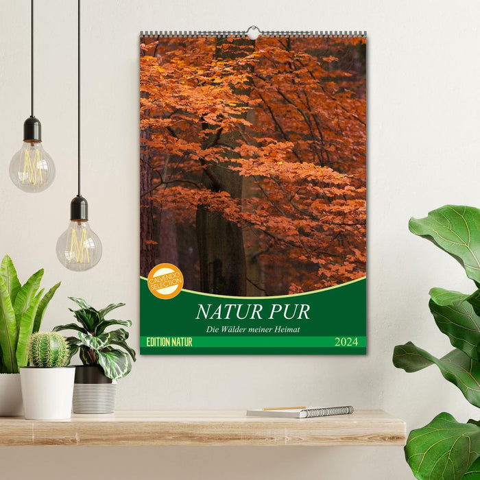 NATUR PUR - Die Wälder meiner Heimat (CALVENDO Wandkalender 2024)