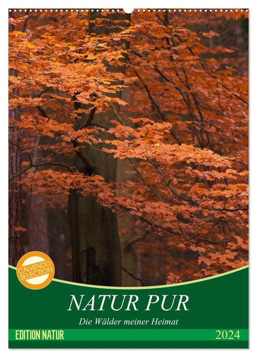 NATUR PUR - Die Wälder meiner Heimat (CALVENDO Wandkalender 2024)