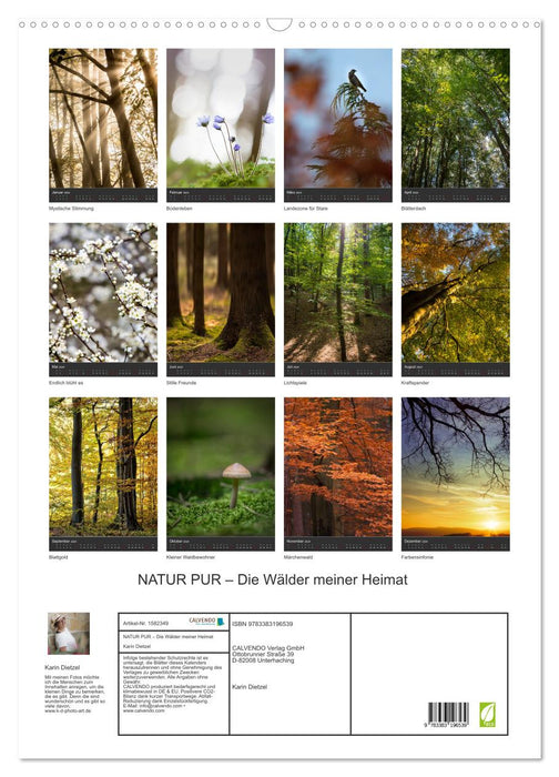 PURE NATURE - The forests of my homeland (CALVENDO wall calendar 2024) 