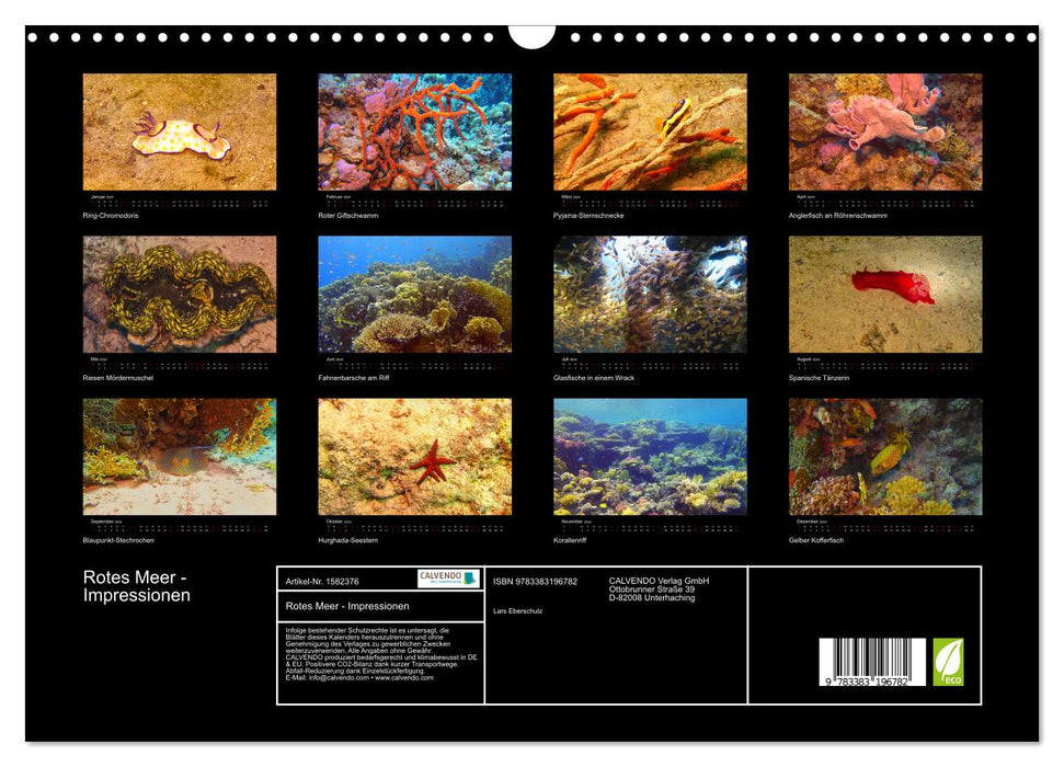 Rotes Meer - Impressionen (CALVENDO Wandkalender 2024)