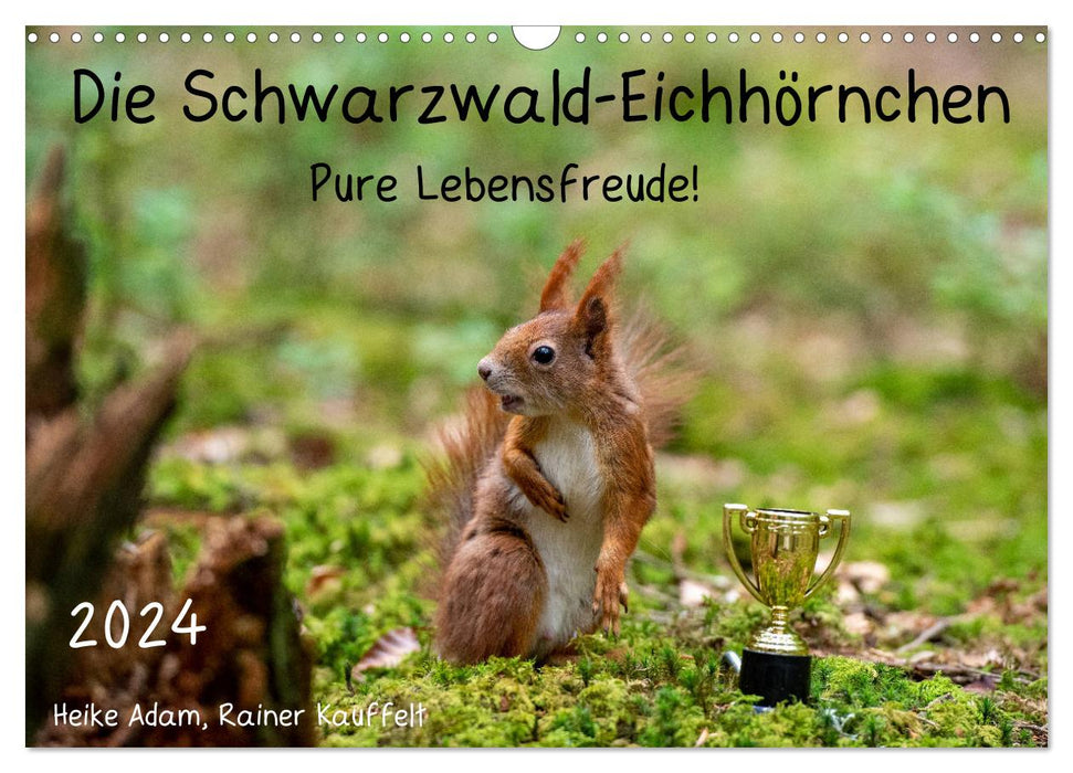 The Black Forest Squirrels (CALVENDO Wall Calendar 2024) 