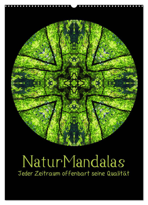 Nature Mandalas - Every period reveals its quality (CALVENDO wall calendar 2024) 