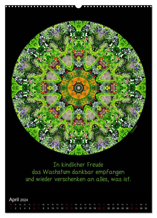 Nature Mandalas - Every period reveals its quality (CALVENDO wall calendar 2024) 