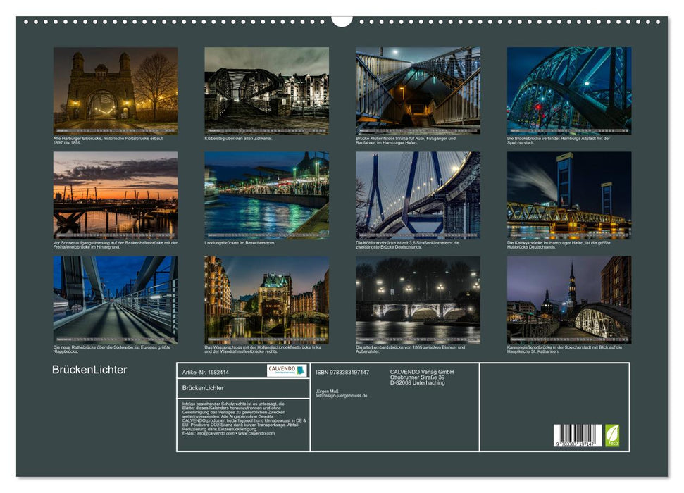 BridgeLights (CALVENDO wall calendar 2024) 