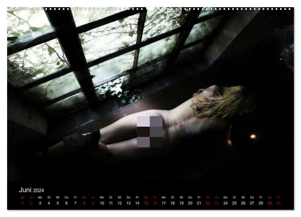 Nackt am Fenster (CALVENDO Premium Wandkalender 2024)