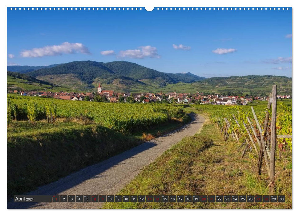 Alsace - Entre Rhin et Vosges (Calendrier mural CALVENDO 2024) 