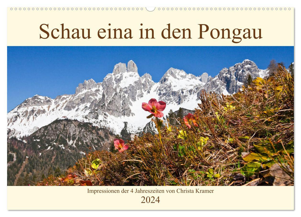 Jetez un oeil à Pongau (calendrier mural CALVENDO 2024) 